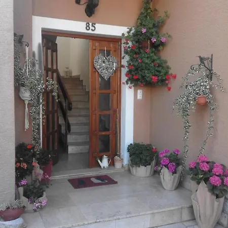 Ruza Selce