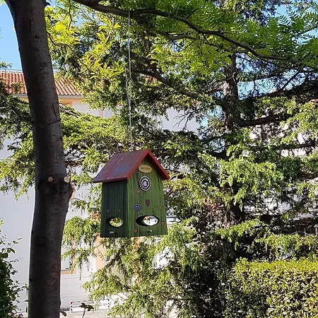Διαμέρισμα Ruza Selce